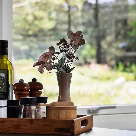 Σπίτι διακοπών 0034-romo-trinnesvej-4